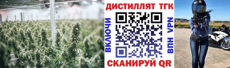 ТГК концентрат  Волосово 