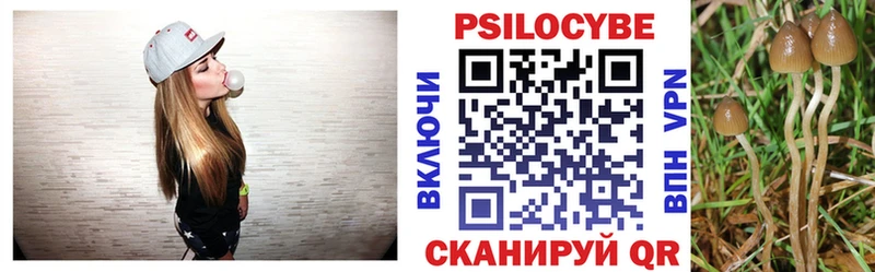 OMG ссылка  Волосово  Псилоцибиновые грибы Psilocybine cubensis 